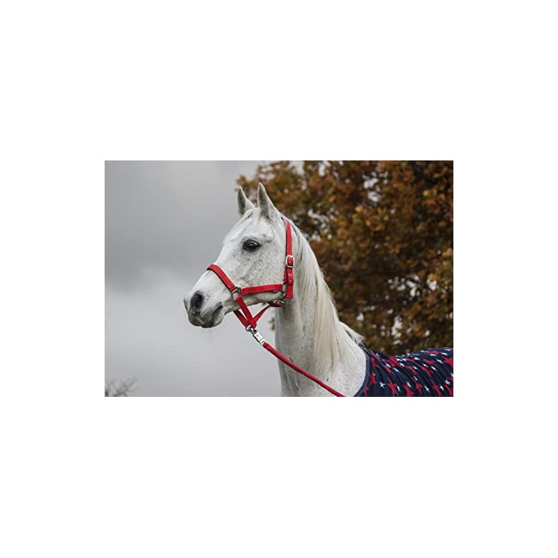 Start Economic Lined Halter for Horses Thoroughbred, Pony - Stable