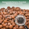 T4U Leca Clay Pebbles for Plants, 2.3qt 10-20 mm Clay