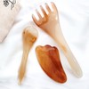 Natural Resin Gua Sha Massager 3-Piece Set for Scalp, Face, and Body 3-piece set