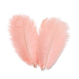 AWAYTR 8-10 inch (20-25cm) Natural Ostrich Feathers for Wedding Centerpieces Home Decoration,Flower Arrangement,DIY Christmas Decorations Decoration (10pcs,Pink)