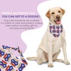 Jebeeynn 2 Pack Dog Bandanas, Reversible Dog Scarf Funny Cat