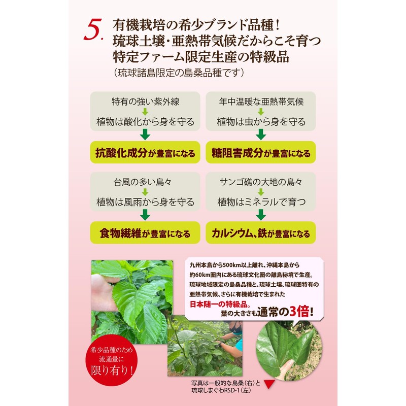 特桑茶 粉末90ｇ×3個セット／桑の葉茶／琉球しまぐわRSD-1オーガニック／有機栽培