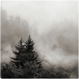 Fine Art Canvas Rising Mist, Smoky Mountains Canvas Wall Decor by Artist Nicholas Bell for Living Room, Bedroom, Bathroom, Kitchen, Office, Bar, Dining & Guest Room - Ready to Hang - 32 in x 32 in