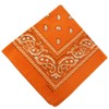 Trifong Bandana, 100% Cotton, Cashew Nut Pattern, Paisley Handkerchief, Unisex,