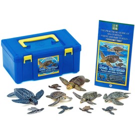 Carolata Sea Turtle Parent and Child Figure, 3D Picture Book (Turtles / 5 Types, 10 Pieces, Instruction Manual Included) Realistic Figure Box, Toy, Educational Toy, Present, Gift, Food Sanitation Act
