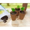 Plant Propagation Potting Mix (4 Quarts); Ideal Starter Mix for
