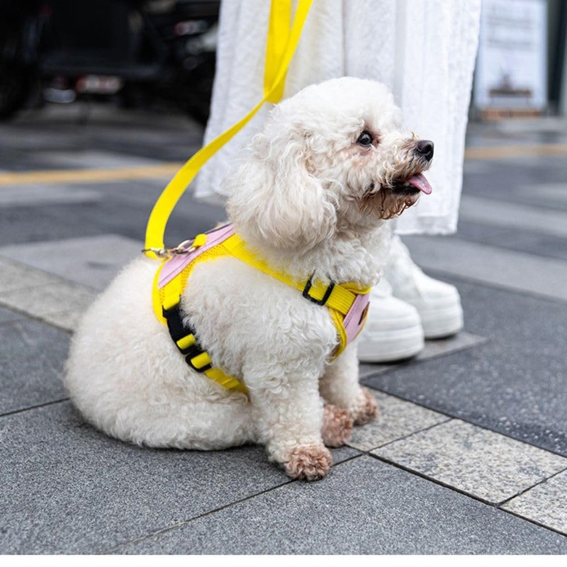 Dog Harness, Adjustable Mesh Vest, 8 Colors, Lightweight and Comfortable