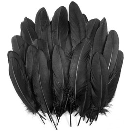 JDCMEI Pack of 100 Black Feathers, Feathers for Crafts, Black Goose Feathers, Natural Craft Feathers, Fluffy Feathers, Craft Feathers for Dream Catchers, Costumes,