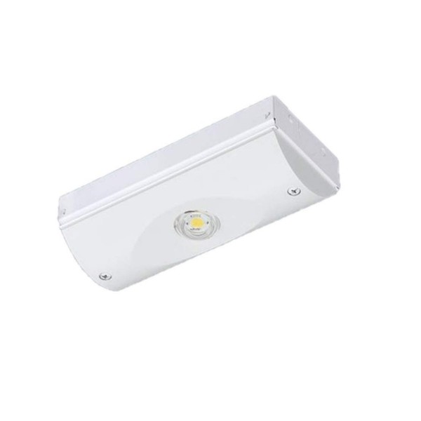 Panasonic NNLG01509 Emergency Lighting Fixture, Direct Ceiling Type, LED for Low to Medium Ceilings (~6 m)