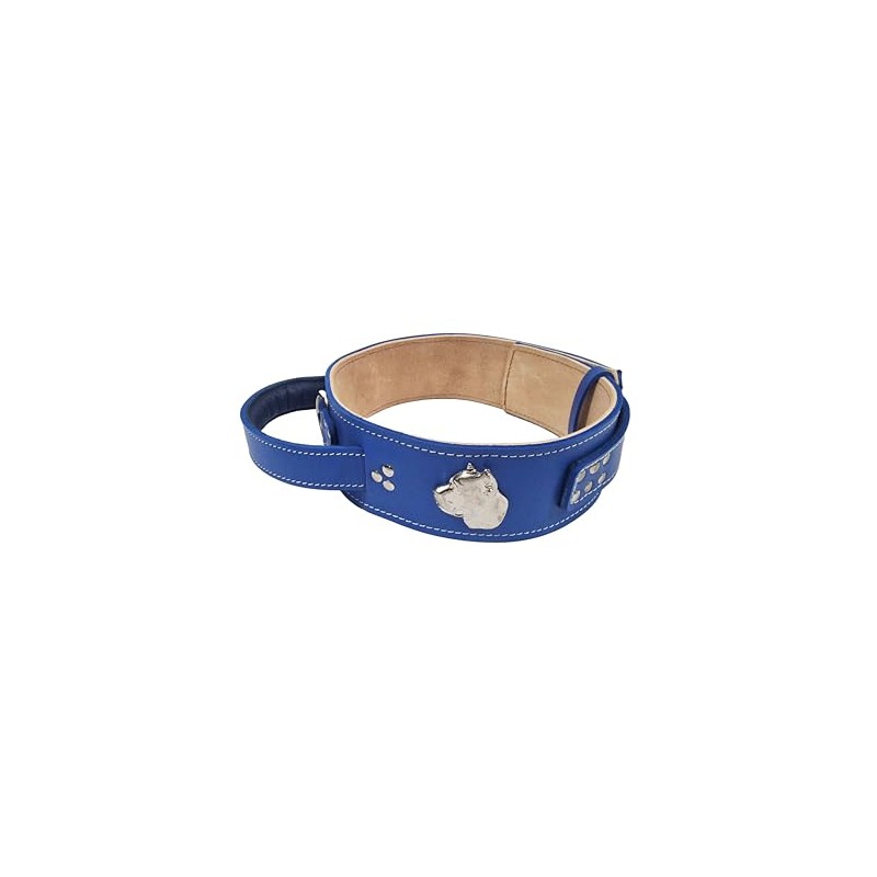 MD Gear Cane Corso Silver Heavy Duty 2.5 inch Wide