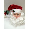 Santa Claus Decorative Head - Classic Plastic Santa Claus Head