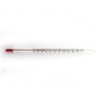 Pearl Metal Antenoa Confectionery Stick Thermometer 212°F (100°C) with Case