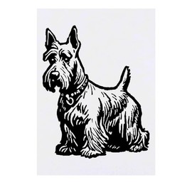 Azeeda 'Scottish Terrier' Temporäres Tattoo - Hautfreundlicher & Ungiftiger Abziehbild · Wasserfest (TO00071549)