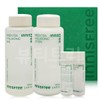 Innisfree Green Tea Hyaluronic Acid Skin Care Set / 이니스프리