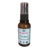 Emulgel Antioxidante Con Coenzima Q10 Regisspa