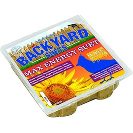 Backyard Seeds No Melt Max Energy Premium Suet Cakes 12 Pack
