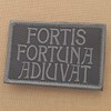 Subdued Fortis Fortuna Adiuvat 2x3.25 John Wick Blackout Morale Tactical