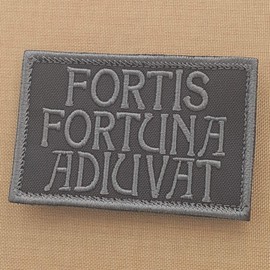 Subdued Fortis Fortuna Adiuvat 2x3.25 John Wick Blackout Morale Tactical Military Hook Patch