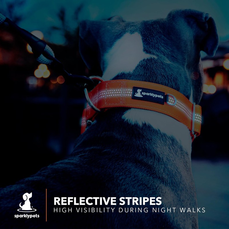 SparklyPets Heavy Duty Wide Dog Collar with Quick Release Chrome