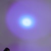Portable 365nm UV Flashlight LED Black Light Torch for Pet