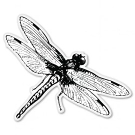 AK Wall Art Dragonfly Car Vinyl Sticker - SELECT SIZE - (A) X-Small: 3"