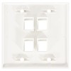 DIYTECH Keystone Wall Plate, 2 Gang Keystone Wall Plate, 4