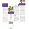 Milk Thistle (Silybum Marianum) Herb and Fruits Alcohol-Free Mother Tincture