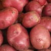 Red Potatoes, 10 lb