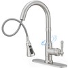 HOIGY Brushed Nickel 3-Function Pull-Down Sprayer Kitchen Faucets, 1 or