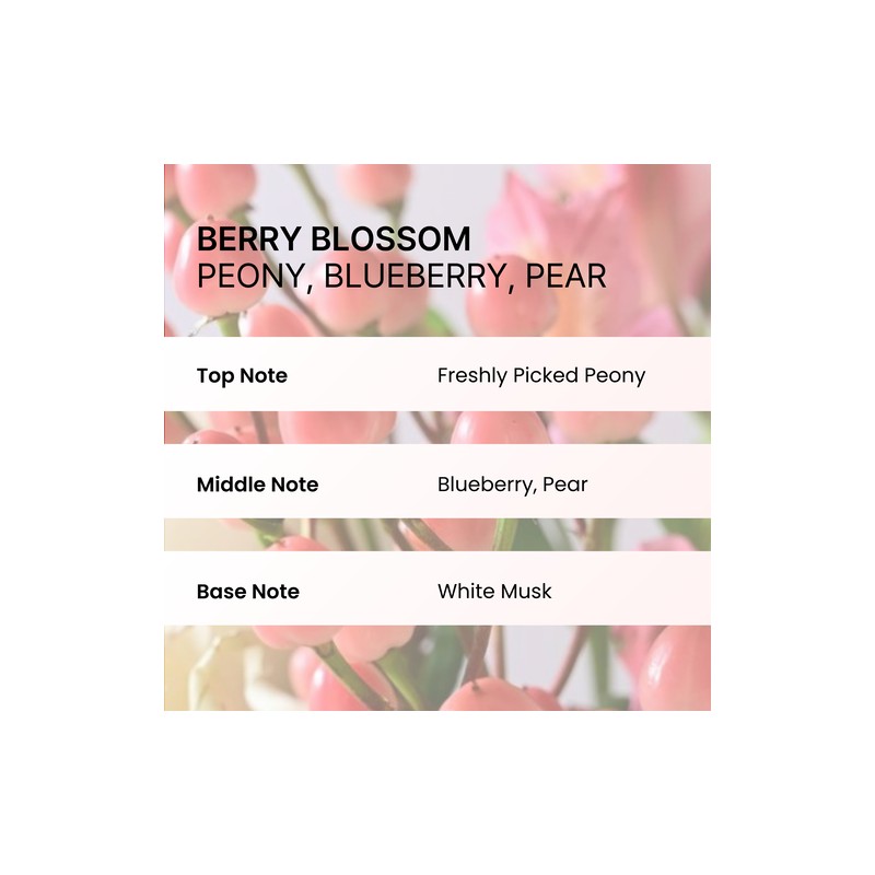 nesh [nesh]Pomegranate Biome Scalp Boosting Shampoo 480ml