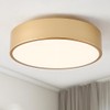 Mivenda Modern Flush Mount Ceiling Light