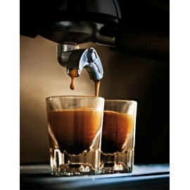 Olde World Industries Coffee Company 2025 Dark Roast, Low Acidity, Full Body,  1 Bag - Espresso Coffee Beans