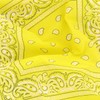 Laciteinterdite Set of 3 Paisley Bandanas for Men and Women,