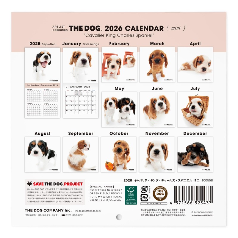THE DOG 2026 Wall Calendar, Mini Size (Cavalier King Charles