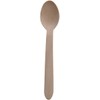 Disposable Wooden Spoon, Pack of 100