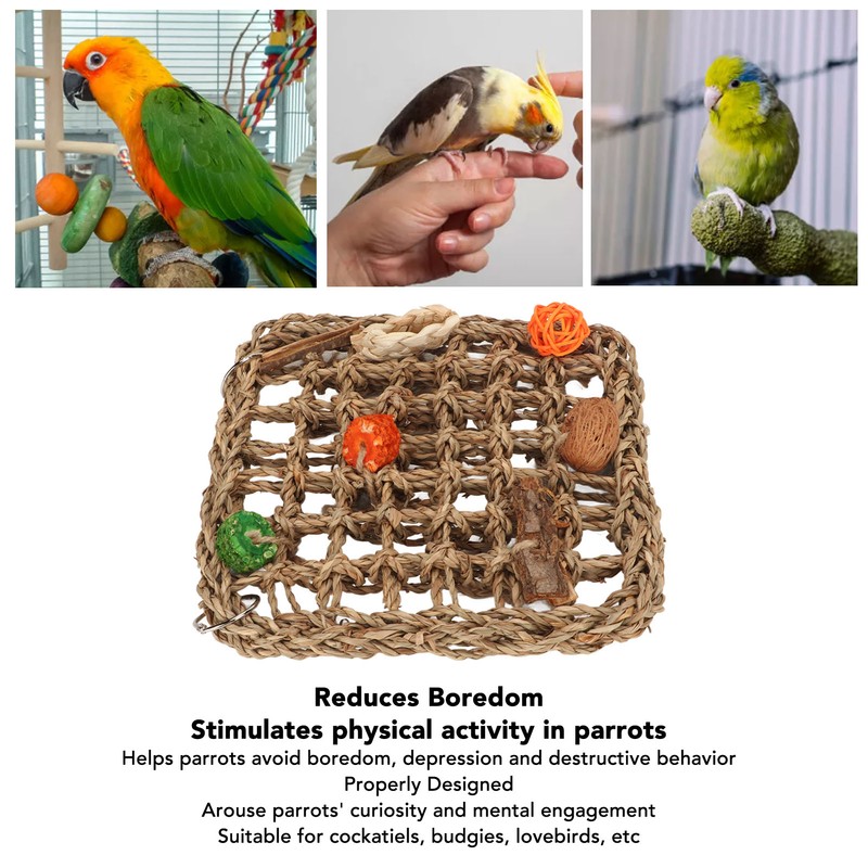 Bird Foraging Wall Toy Boredom Relief Seagrass Hand Woven Parrot