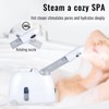 Portable Facial Steamer, 1 Count Hot Steam Nano Facial Beauty