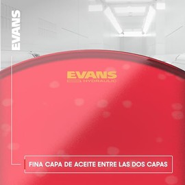 EVANS | Hydraulic | Parche para Bombo | 22 Pulgadas | BD22HR
