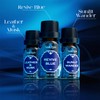 Soulorigin Cologne Fragrance Oils Set, Essential Oil for Diffuser, Men