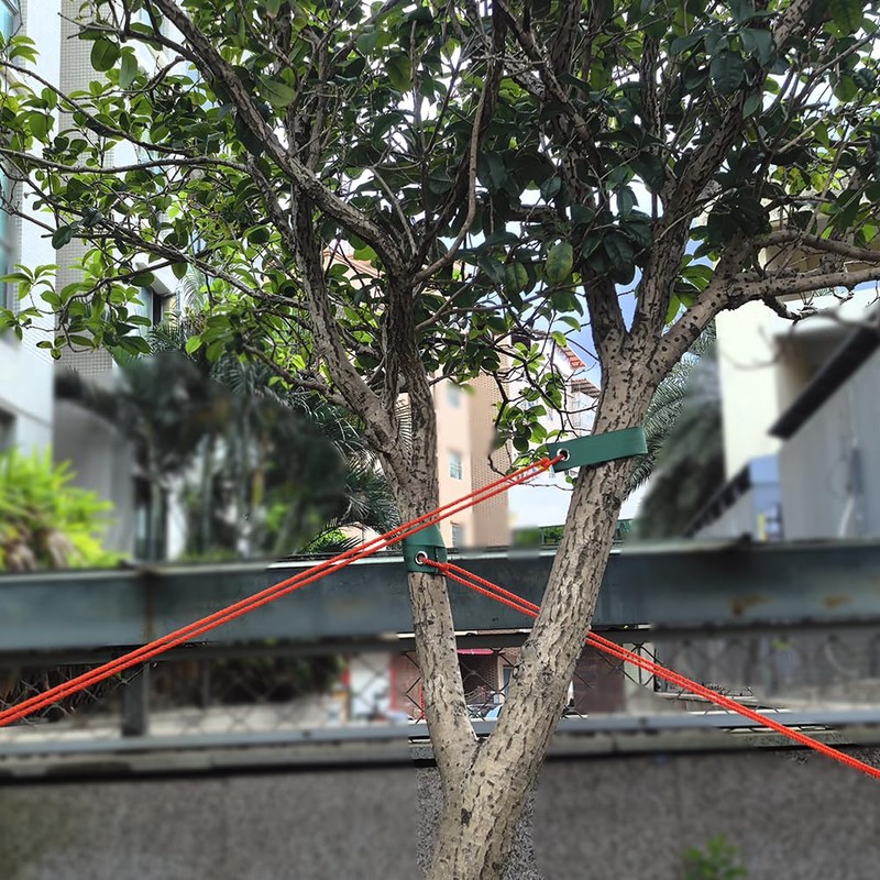 Liaogo 8 Pack Tree Straps for Staking, Premium Quality Tree