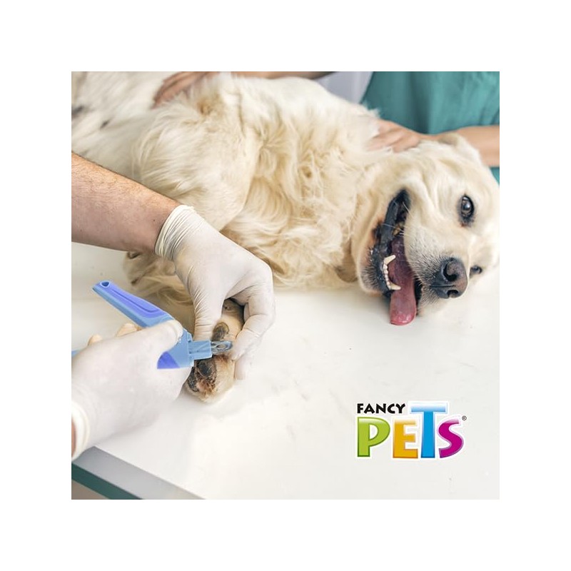 Fancy Pets Guillotina Cortauñas para Perros con Recipiente Recolector y