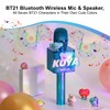 BTS Bluetooth Wireless Mic & Speaker, All Seven BTS Characters