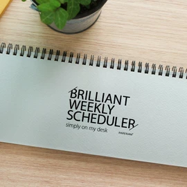 PAPERIAN Brilliant Weekly Scheduler - Wirebound Undated Weekly Planner Pad Scheduler (Gray)