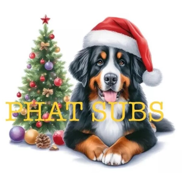 Unbranded Sublimation Print Bernese Mountain Dog Christmas Ready to Press