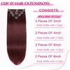 POGINJA Clip in Hair Extensions Real Human Hair, Red Wine