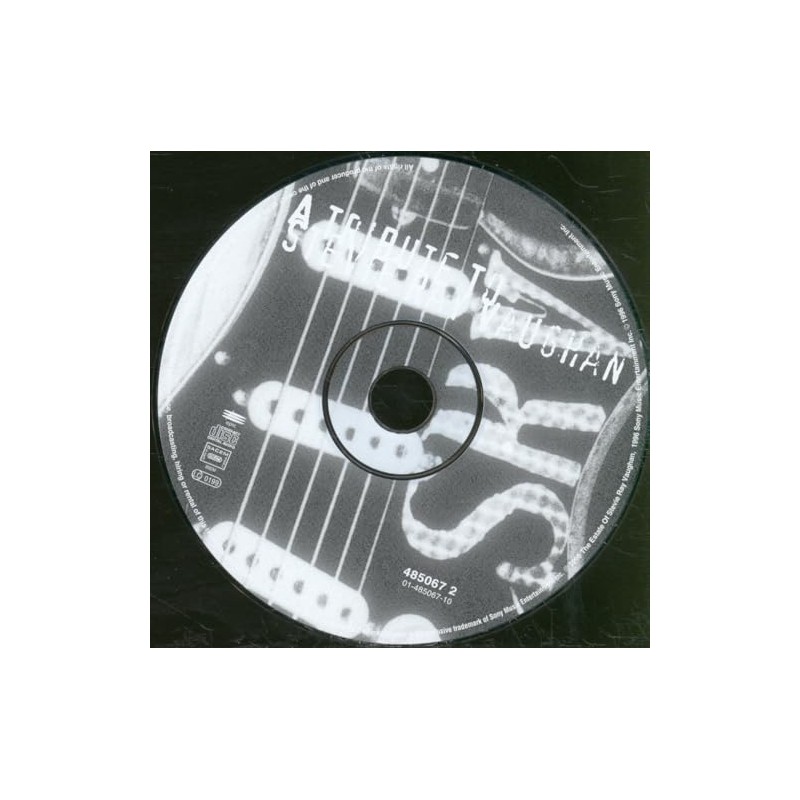 A Tribute to Stevie Ray Vaughan