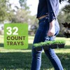 SodPods® Centipede Grass Plugs for Lawn Repair, 3" x 3"