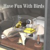 Freeseason Window BirdFeeder with Camera, 2K HD Video & AI