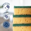 Sorbo Scouring Pads