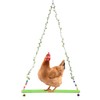 Chicken Parrot Large Bird Pet Swing Green Hanging Wooden Toy